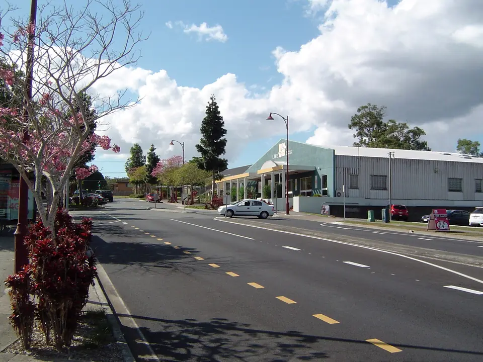 A flowering tree beside Fitzgerald Avenue in Springwood, with shops along the street.