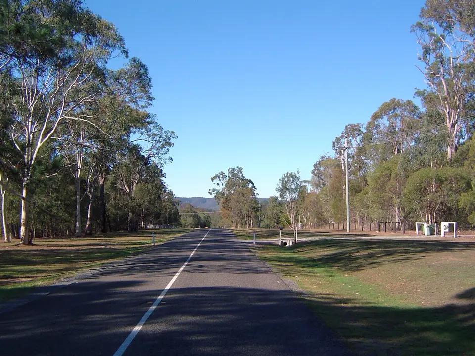 A quiet road through tall gum trees near Logan Village, with hills on the horizon.