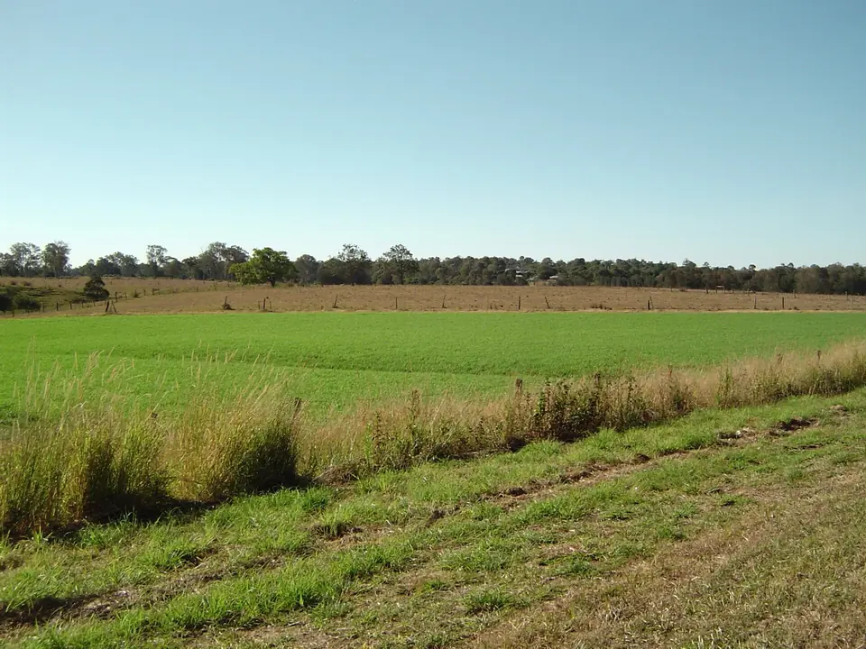 Open green paddocks along Waterford Tamborine Road near Logan Village.